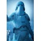 Star Wars Action Figure 1/6 Snowtrooper Commander 30 cm